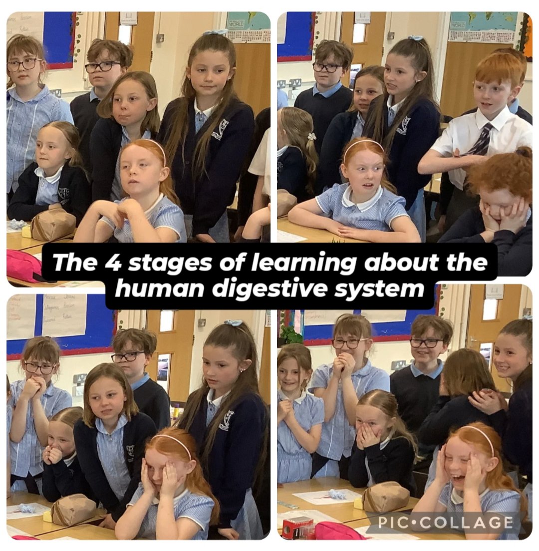 OLOLYear4's tweet photo. Today, we successfully put everybody in the room off Weetabix for at least a month as we learned all about the digestive system in humans! #scienceolol https://t.co/aBvYnNLc4Z