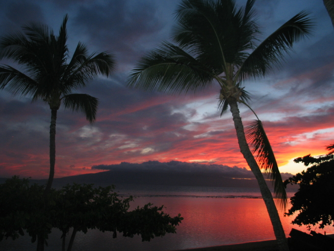 ArtisticChill's tweet photo. Maui sunset.  Peaceful and relaxing.

#maui #SunsetVibes #hawaii https://t.co/QEo9xiYC4d