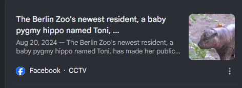 TheAgentShaw's tweet photo. TONI IS FROM 2024

Willi Wackelöhrchen https://t.co/PTFk0qr5rb