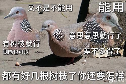 Linyang0377's tweet photo. @dearemon 答案很明显了，珠颈斑鸠!!! https://t.co/xTHkpUpb5V