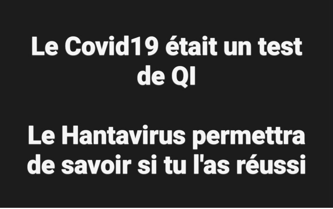 Bobo (@capitaine_bobo) / Posts / X