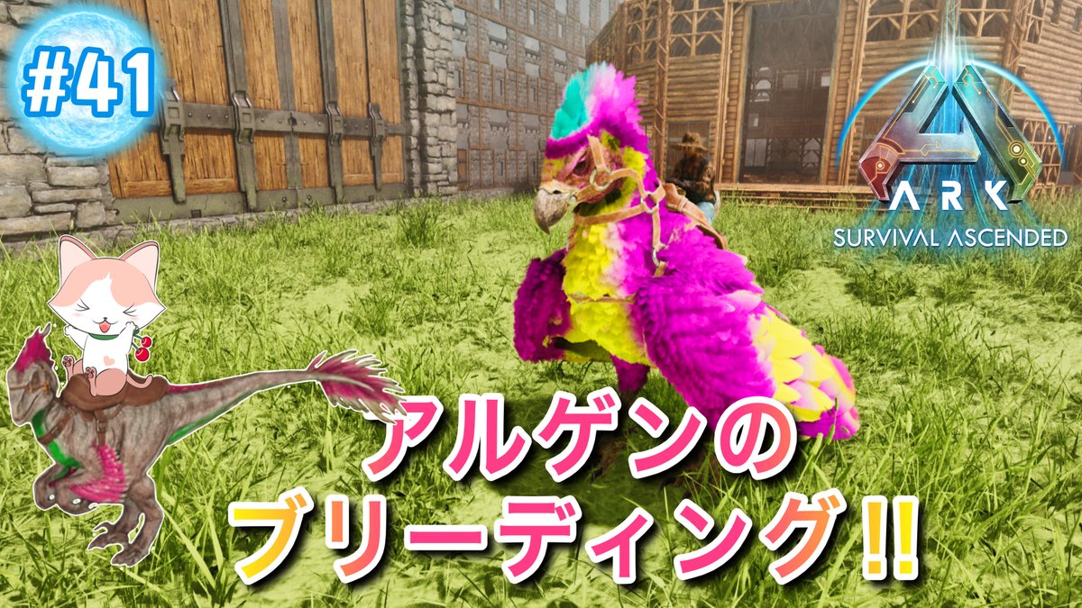 ☆チェリ子channel☆ tweet media