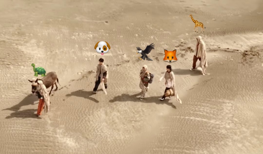 安🐱 tweet media
