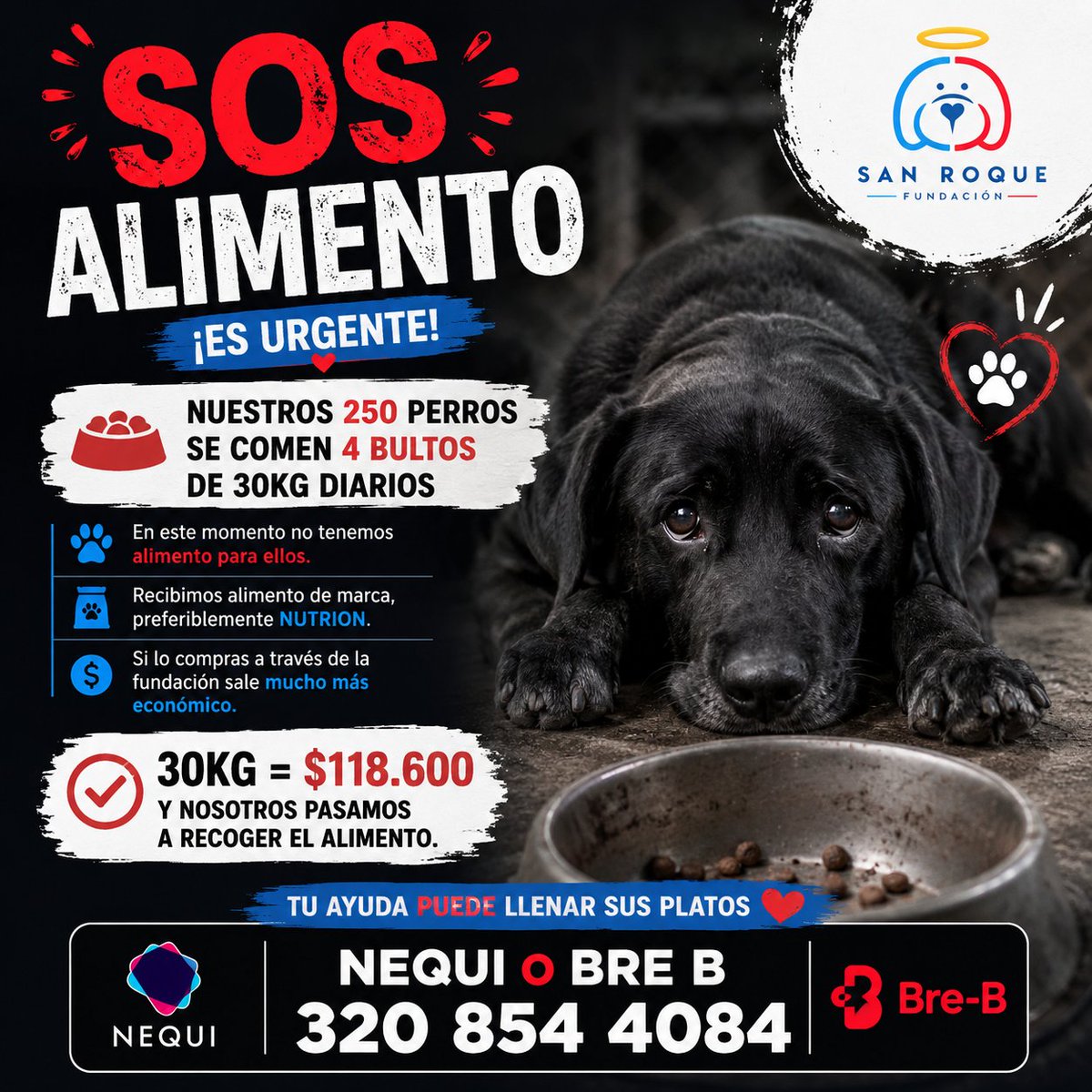 FundacionLucila's tweet photo. 🚨 SOS: NO TENEMOS ALIMENTO 🚨

Nuestros 250 perros consumen aproximadamente 4 bultos de 30 kg diarios 🐶💔

En este momento necesitamos ayuda urgente con alimento para poder seguir alimentando a todos nuestros rescatados.
Recibimos concentrado, preferiblemente Nutrion.

🙏🏼 Comprándolo directamente a través de la fundación sale mucho más económico:

📦 30 kg = $118.600

Además, nosotros mismos pasamos a recoger el alimento 🚚🐾

Si deseas ayudarnos o recibir más información, escríbenos vía WhatsApp:

📲 320 854 4084

Cada bulto representa platos llenos y perros que pueden seguir recuperándose gracias a ustedes ❤️