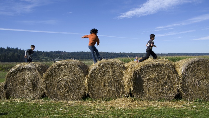 farmnewsnow.com tweet media