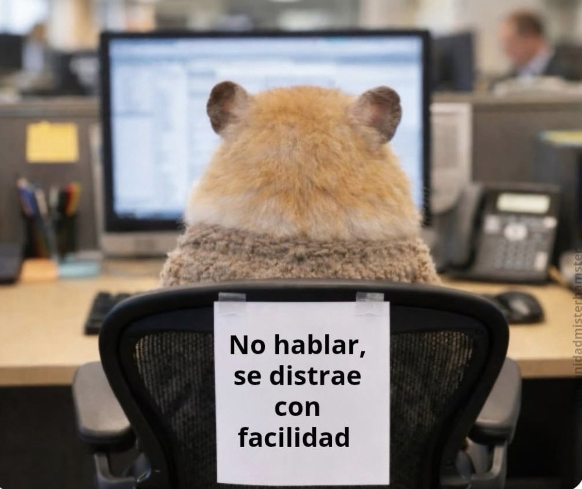 El Guarromántico tweet media