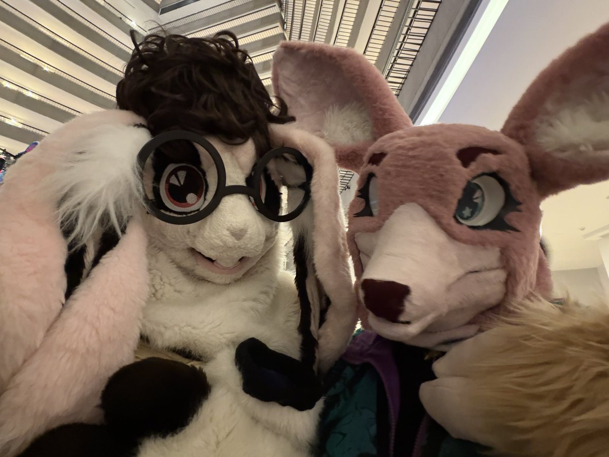 misqybun's tweet photo. Cutie patooties :3 💛‼️
#FWA https://t.co/p5uzphwRq7