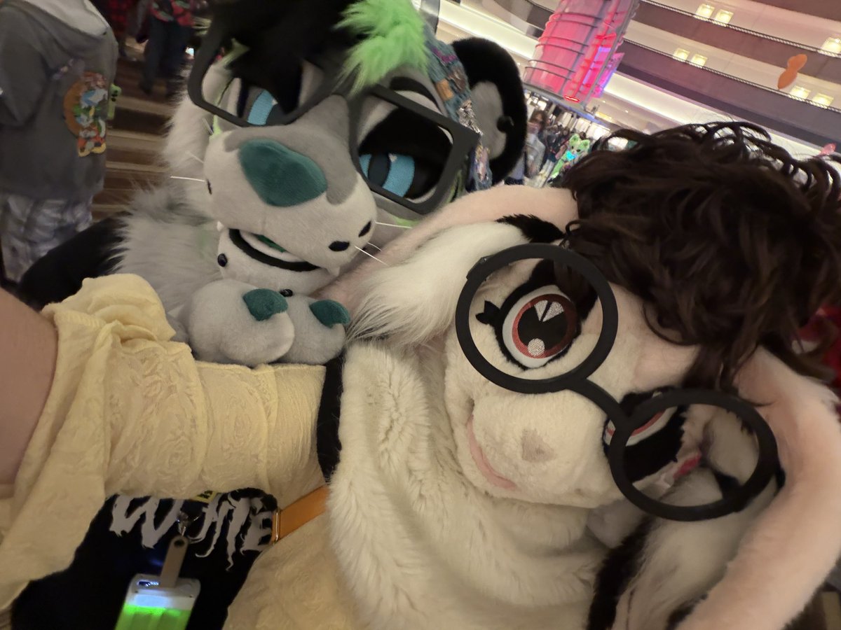 misqybun's tweet photo. Cutie patooties :3 💛‼️
#FWA https://t.co/p5uzphwRq7