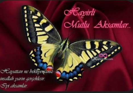Ffe0505's tweet photo. .

Yeni profil resmimle...😊
___Akşamınız güzel geçsin😇 https://t.co/WBEPhpQb2f