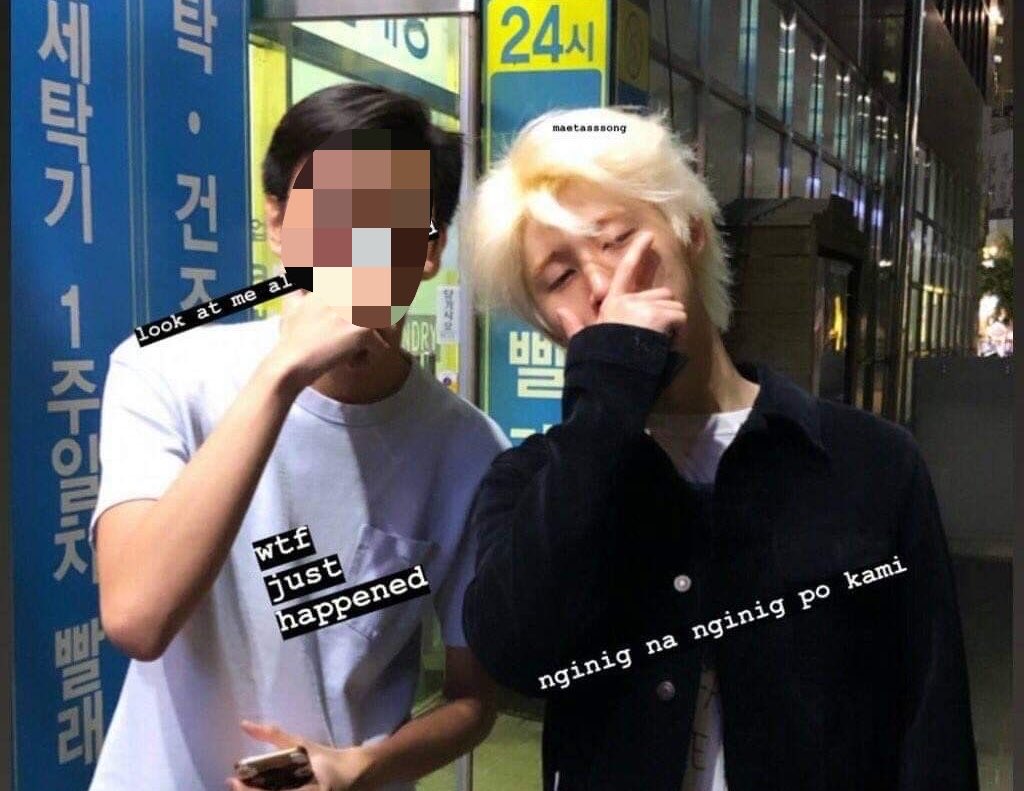 페스또 tweet media
