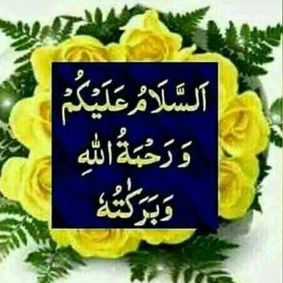HNIM AĞA 🌹🕋☝️ tweet media