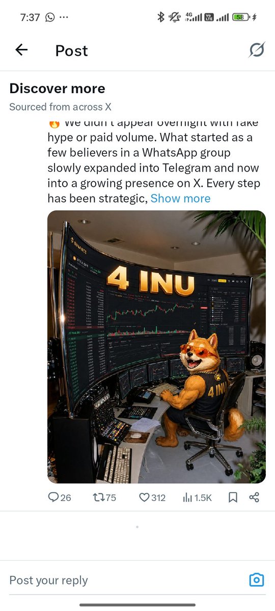 4INU | Community Token tweet media