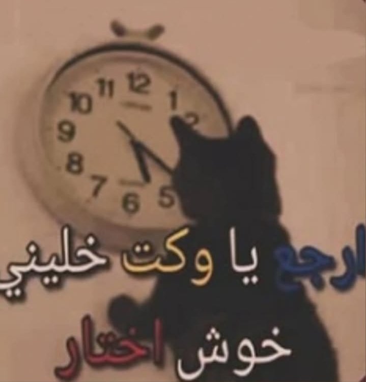 شكله بسكوتاية لكن هيعورك tweet media