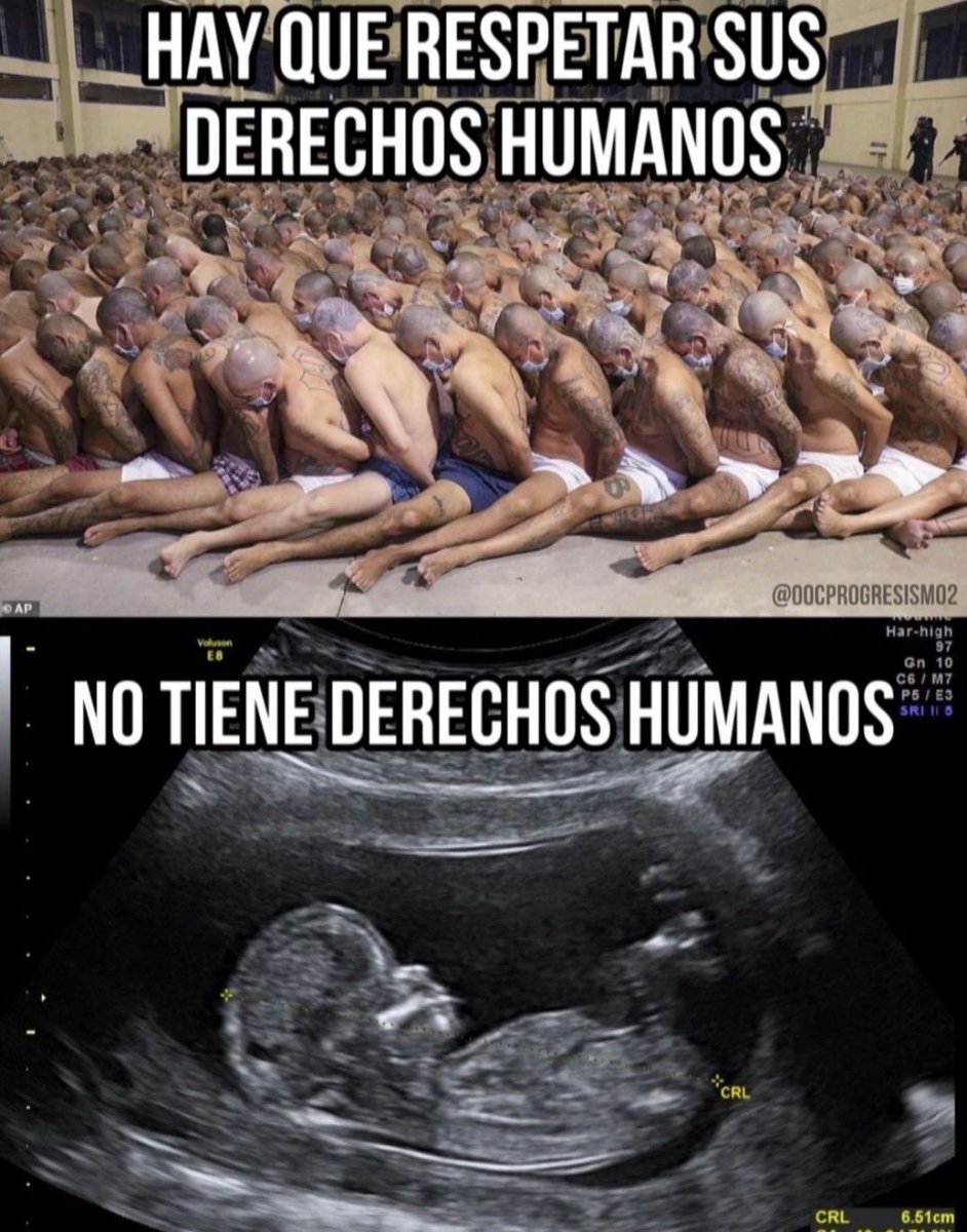 María del Rosario Vargas tweet media