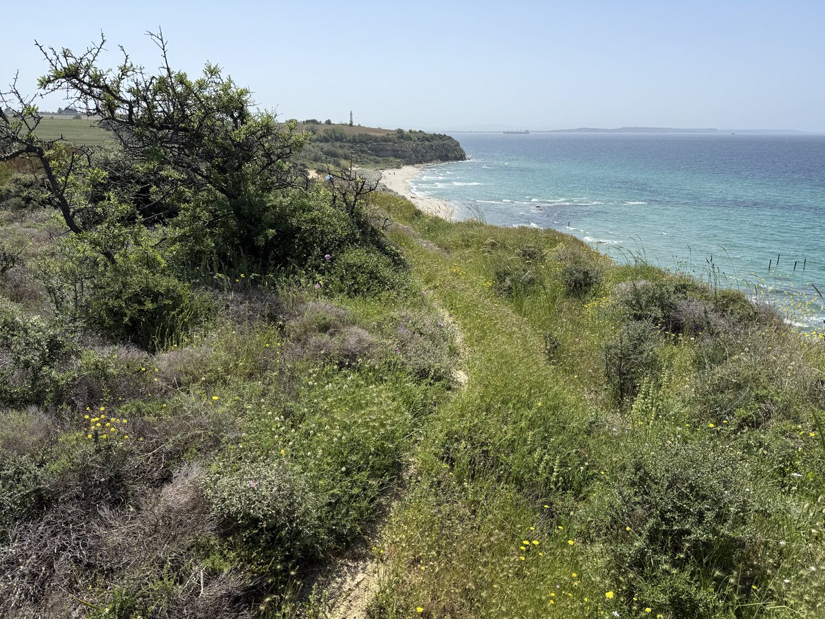 SteveJChambers's tweet photo. Still walking Gallipoli, this time with this year @Gallipoli100 @bhltours group #GallipoliAssociation https://t.co/voP8owp3nv