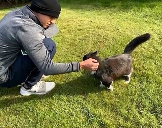 daily lando pics tweet media