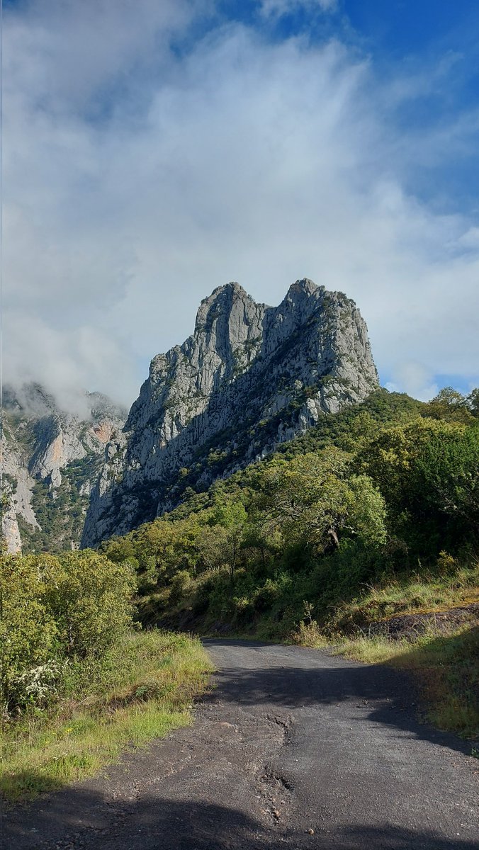 Territorio Grognard Podcast tweet media