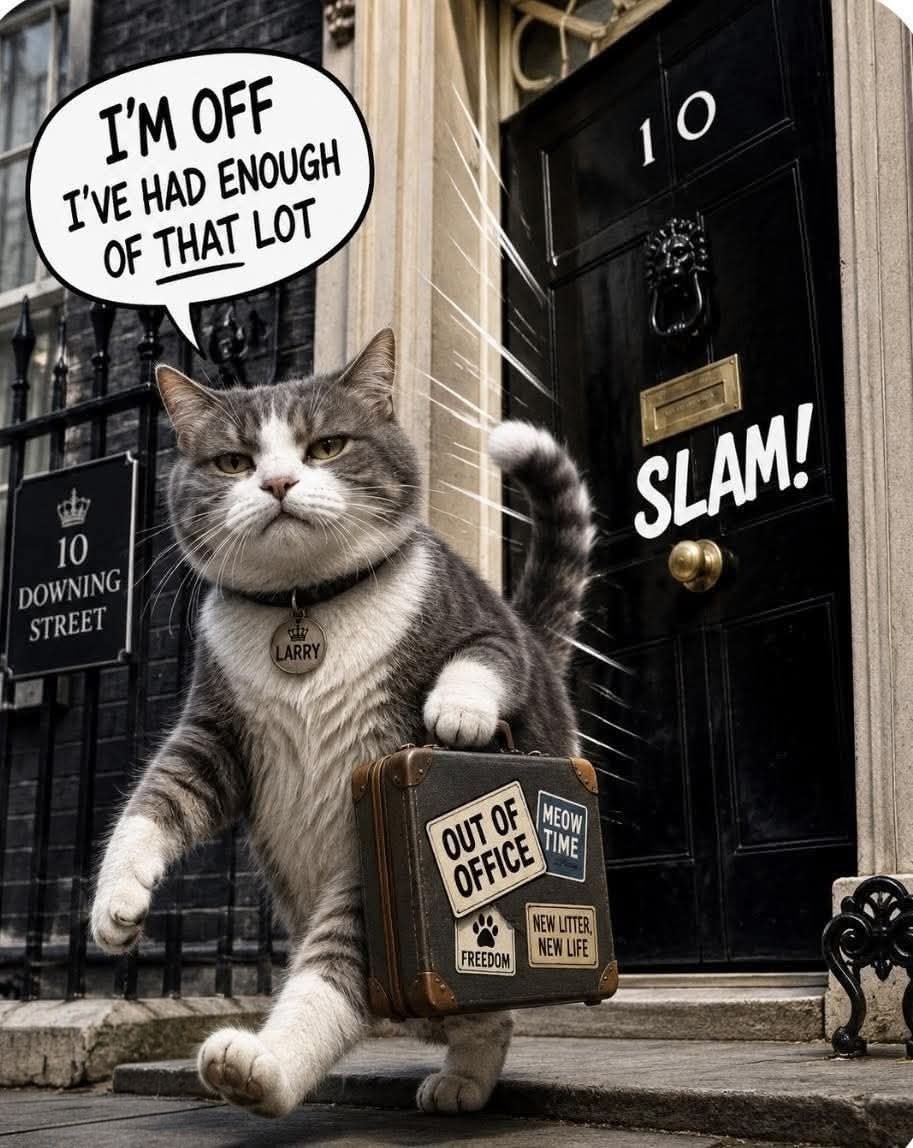 💕Elle J 💕#JustSaying 🇬🇧🇬🇧🇬🇧🇬🇧 tweet media
