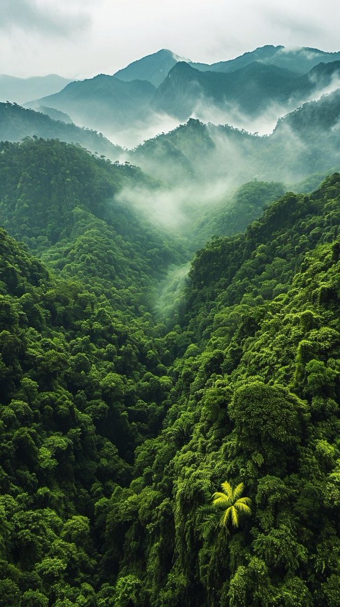 Nature🍃 tweet media