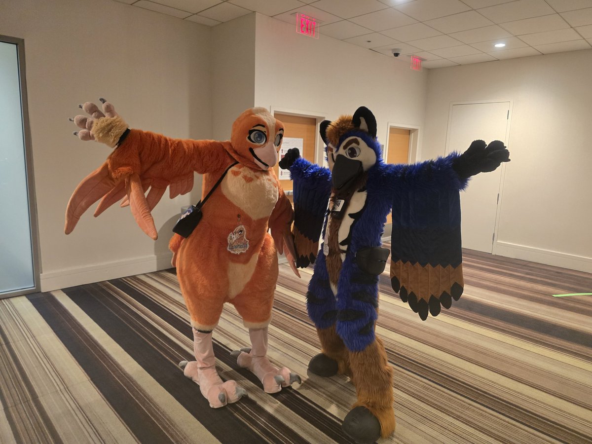 Sulfer or a birb tweet media