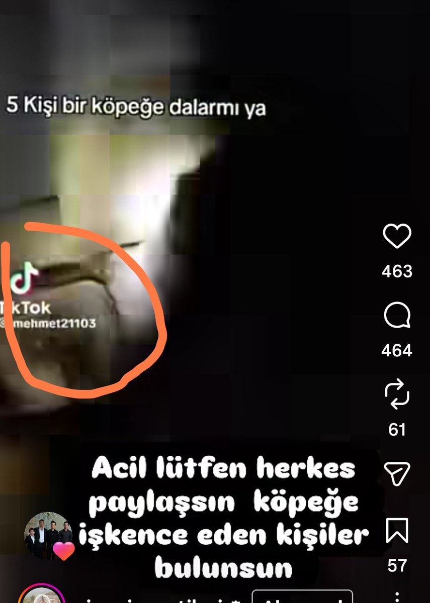 KOCAELİDER41 tweet media