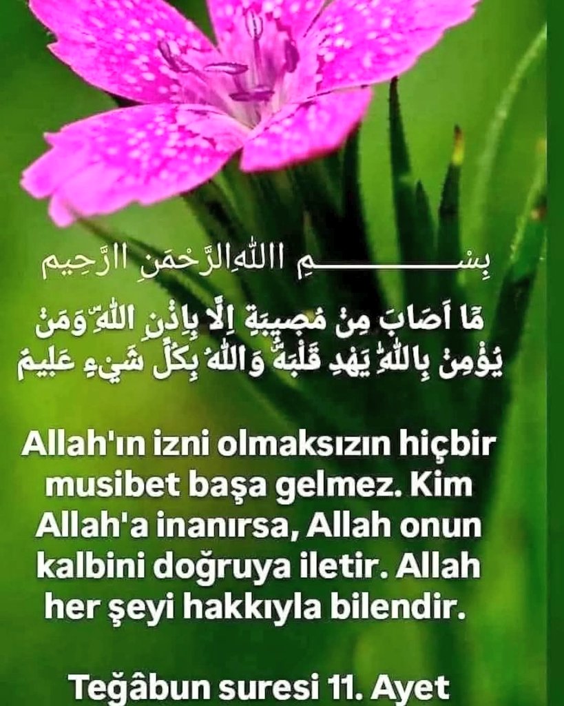 HNIM AĞA 🌹🕋☝️ tweet media