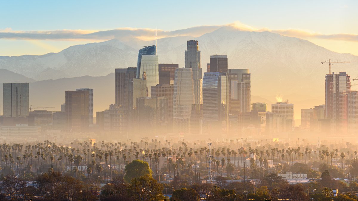 Governor Gavin Newsom tweet media