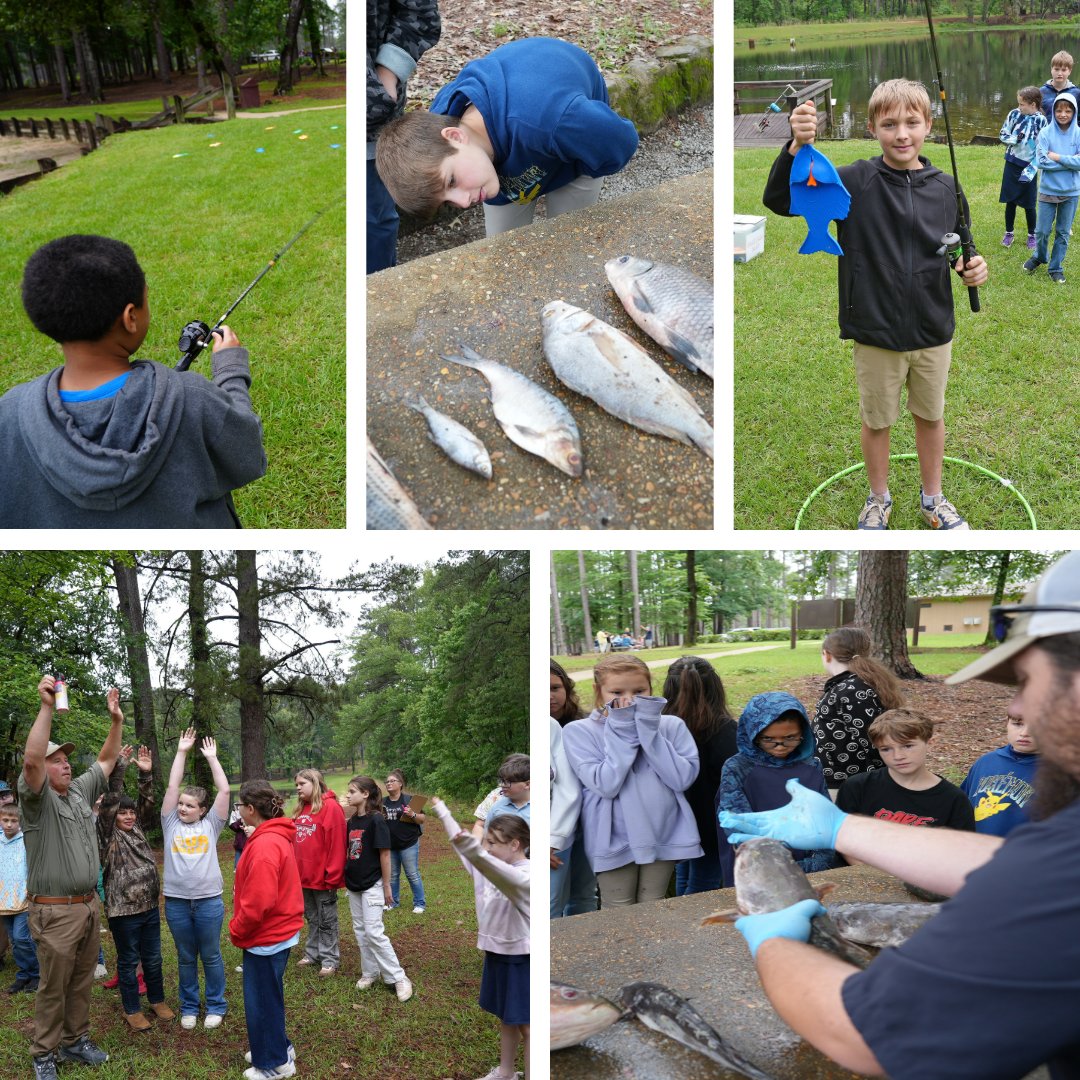 LaWildlife&Fisheries tweet media