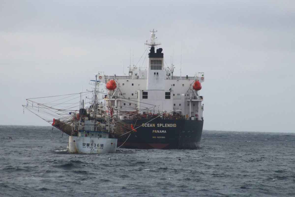 Falklands FishOps tweet media