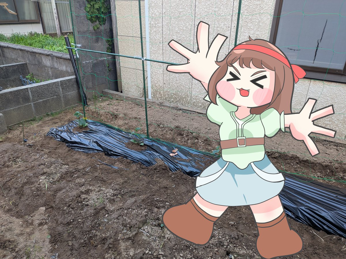 はなふだかるた tweet media