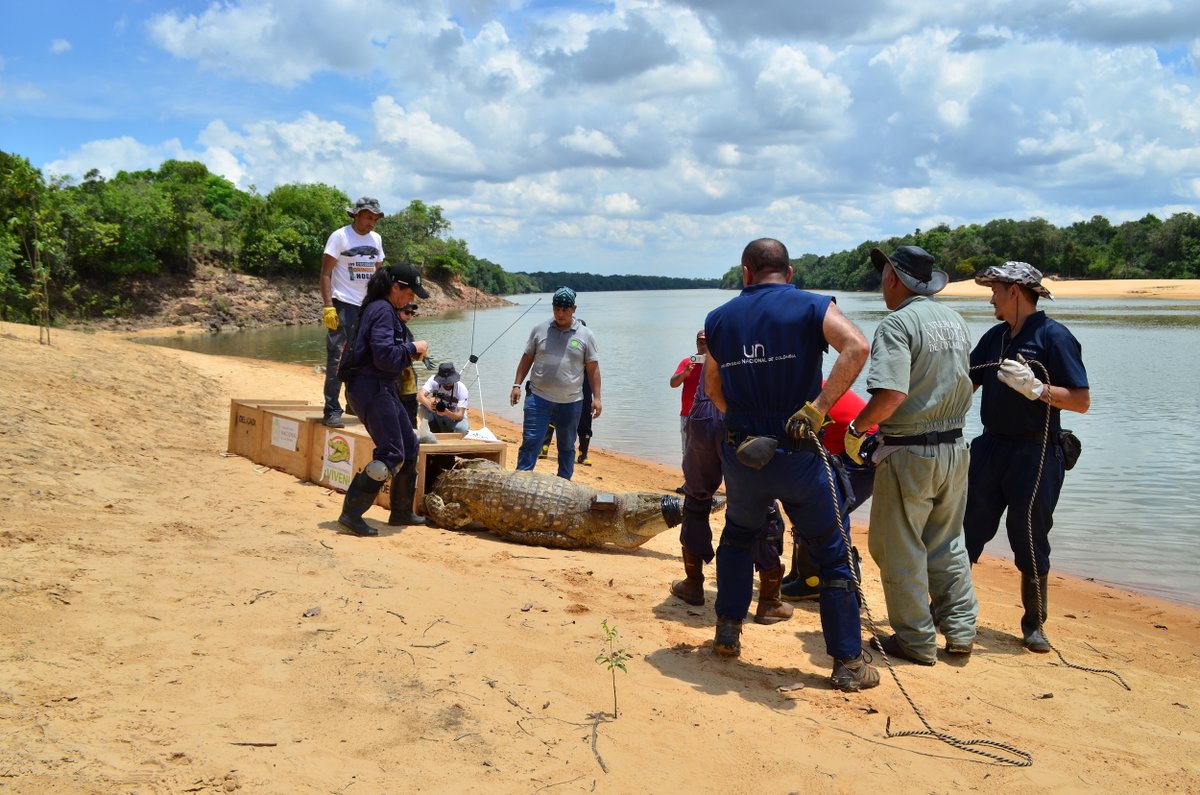 Mongabay Latam tweet media
