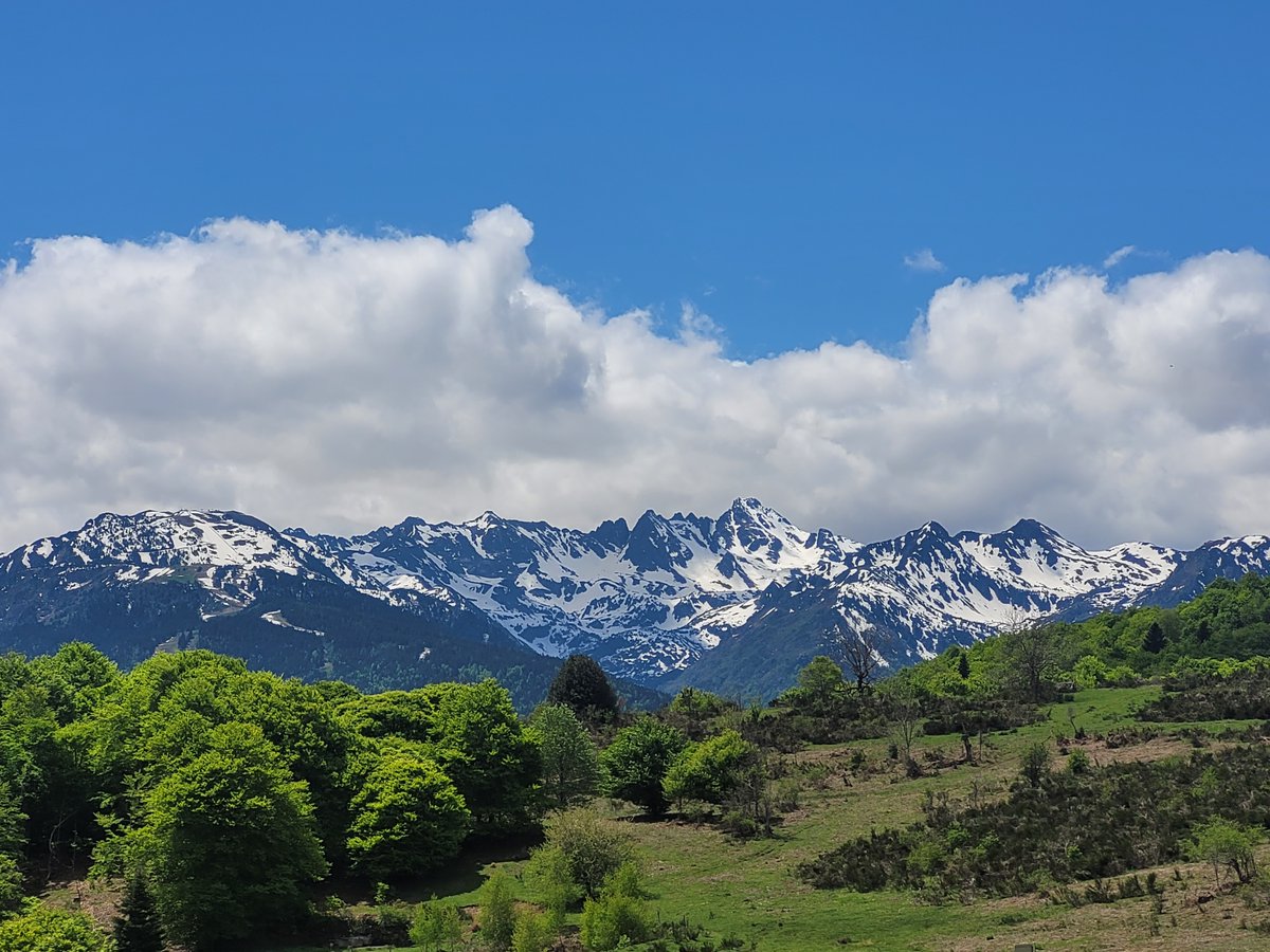 Vue sur les Pyrénées