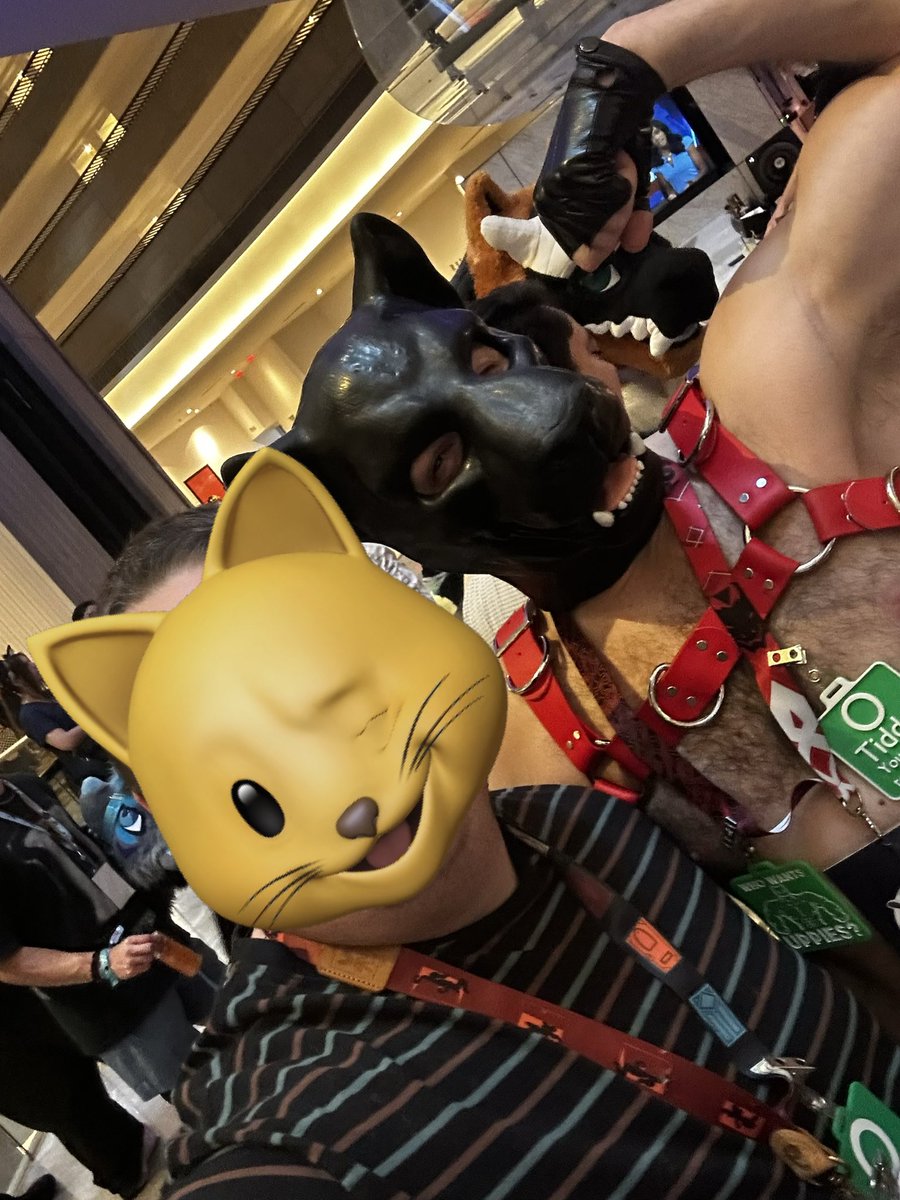 PupWinston/HocusCat tweet media