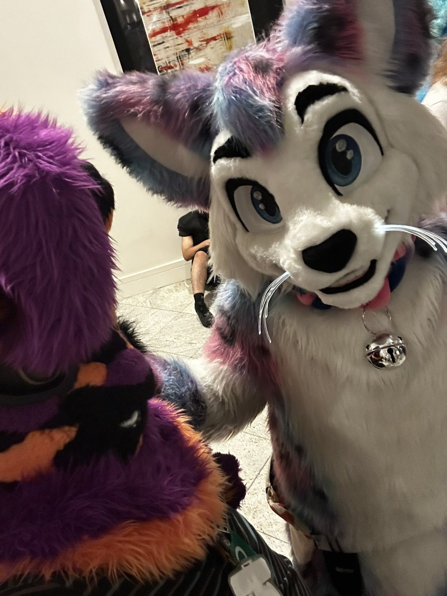 PupWinston/HocusCat tweet media