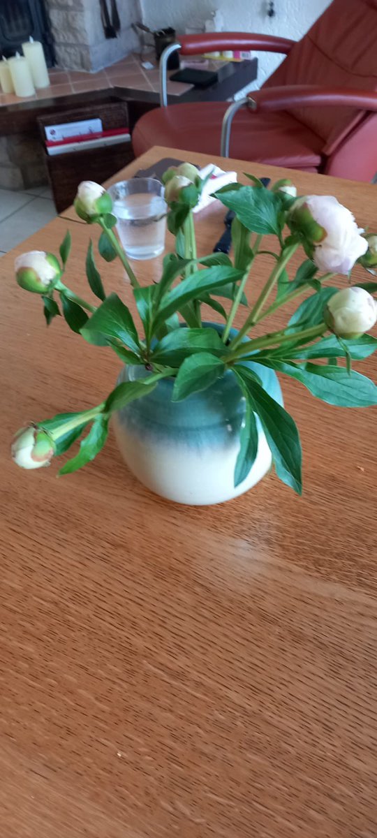 essief's tweet photo. @Kakelbontste Deze via @Hallmark, brievenbusboeket (zonder vaas), samen met kaartje net geen €20,- kwijt. En voor de mensen die roepen dat je ook langs kunt om het zelf te brengen: ik woon op Aruba en mijn moeder in NL…niet altijd gelijk zo oordelen. https://t.co/5hAnwFbVaP