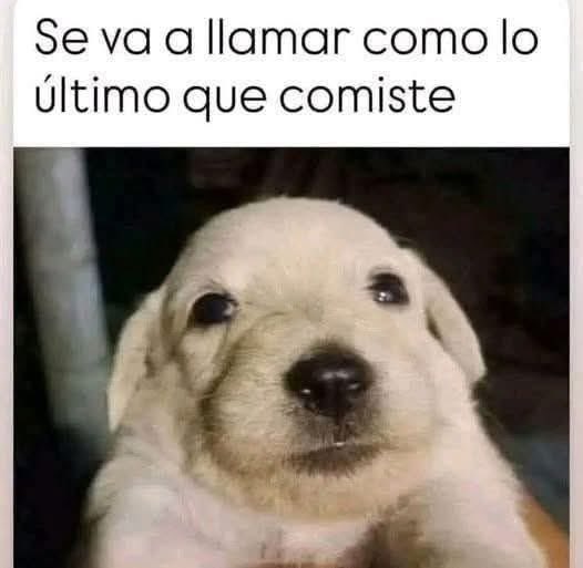 Memes Universidad Nacional tweet media
