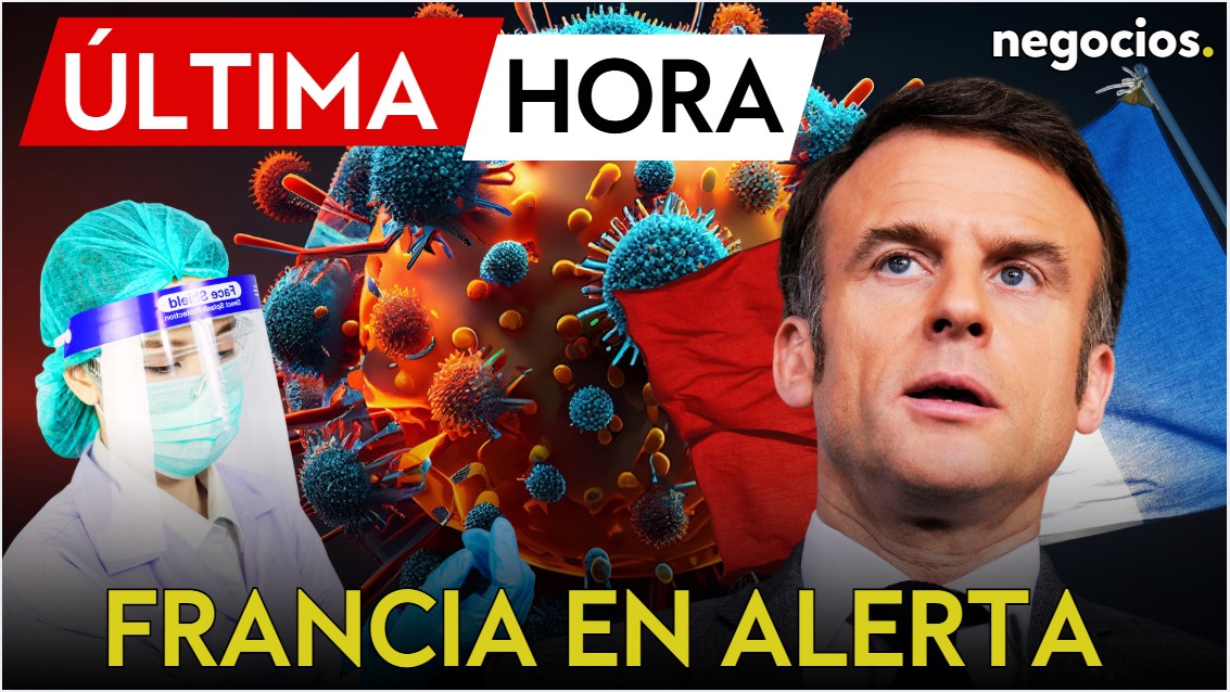 Negocios TV tweet media