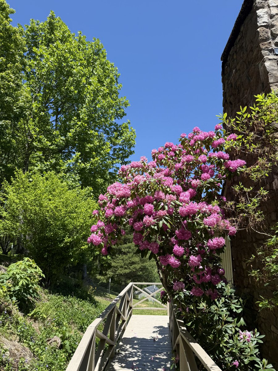 gradyryan1's tweet photo. This is the kind of day two months from now people will be yearning for—picture perfect blue skies, temperatures in the 60’s with no humidity (dew-points in the 30’s) #ncwx #SPRINGDAY https://t.co/waDsGt90wg
