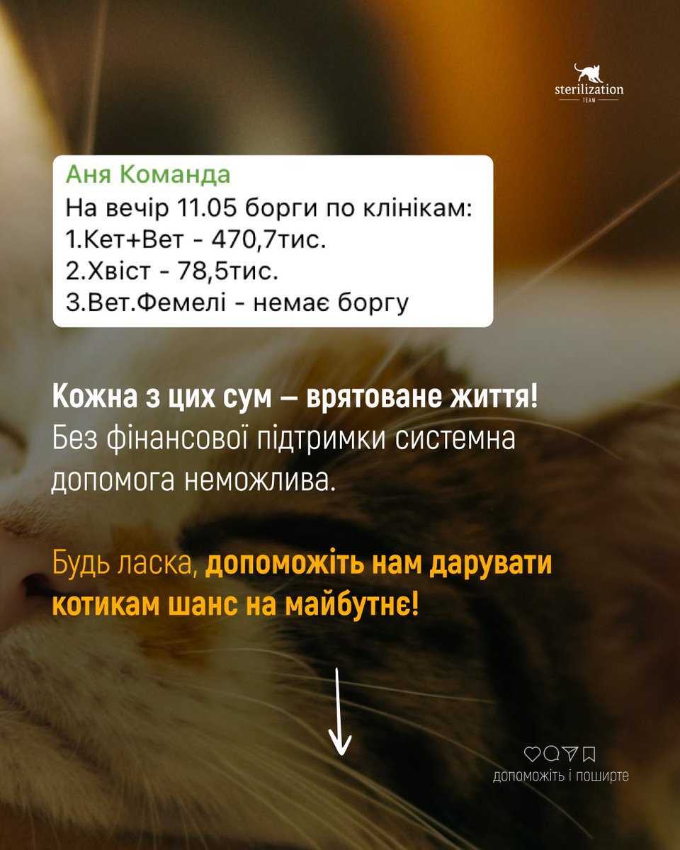 SterilizationT's tweet photo. Лише завдяки вашій підтримці ми рятуємо, а вони існують!♥️
Підтримайте нашу команду🙏
***
💳 Реквізити для допомоги:
Моно: https://t.co/vyIfx7y5P8
Конверт Приват - https://t.co/VA6GlaOOrw
#sterilizationteam #котики #київ #ліки #допомога https://t.co/XQvxFlpZar