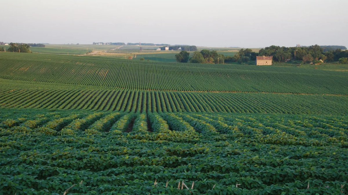 Inner_Plant's tweet photo. Every step of the way ✍️

InnerPlant's #CropVoice technology monitors for stress signals emitted by our genetically-engineered soybean plants when they come into contact with a fungal infection. 🦠 Read more in the @farmdaily article below ⬇️

🔗 : https://t.co/k4e9M1FpL9 https://t.co/yOyXRgr7He
