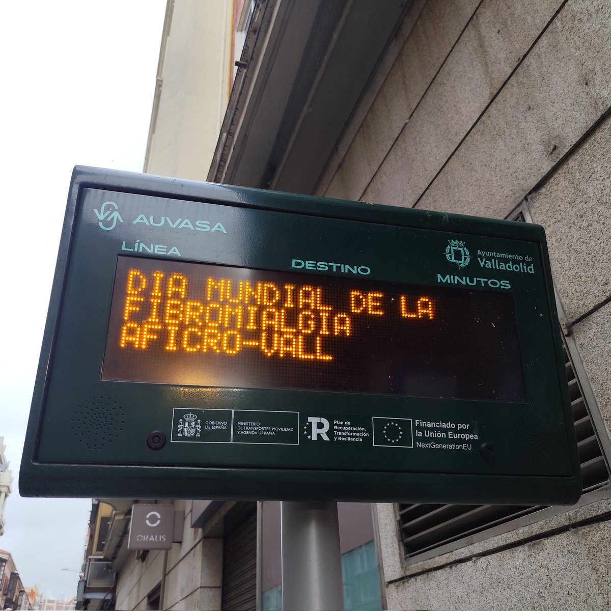 AuvasaVLL's tweet photo. 📢 Hoy se celebra el #DíaMundialDeLaFibromialgia

👉 Desde Auvasa, damos visibilidad en todos nuestros vehículos y paneles, de esta enfermedad invisibles que genera dolor crónico y fatiga intensa sin mostrar signos externos evidentes. https://t.co/4dWphberTi