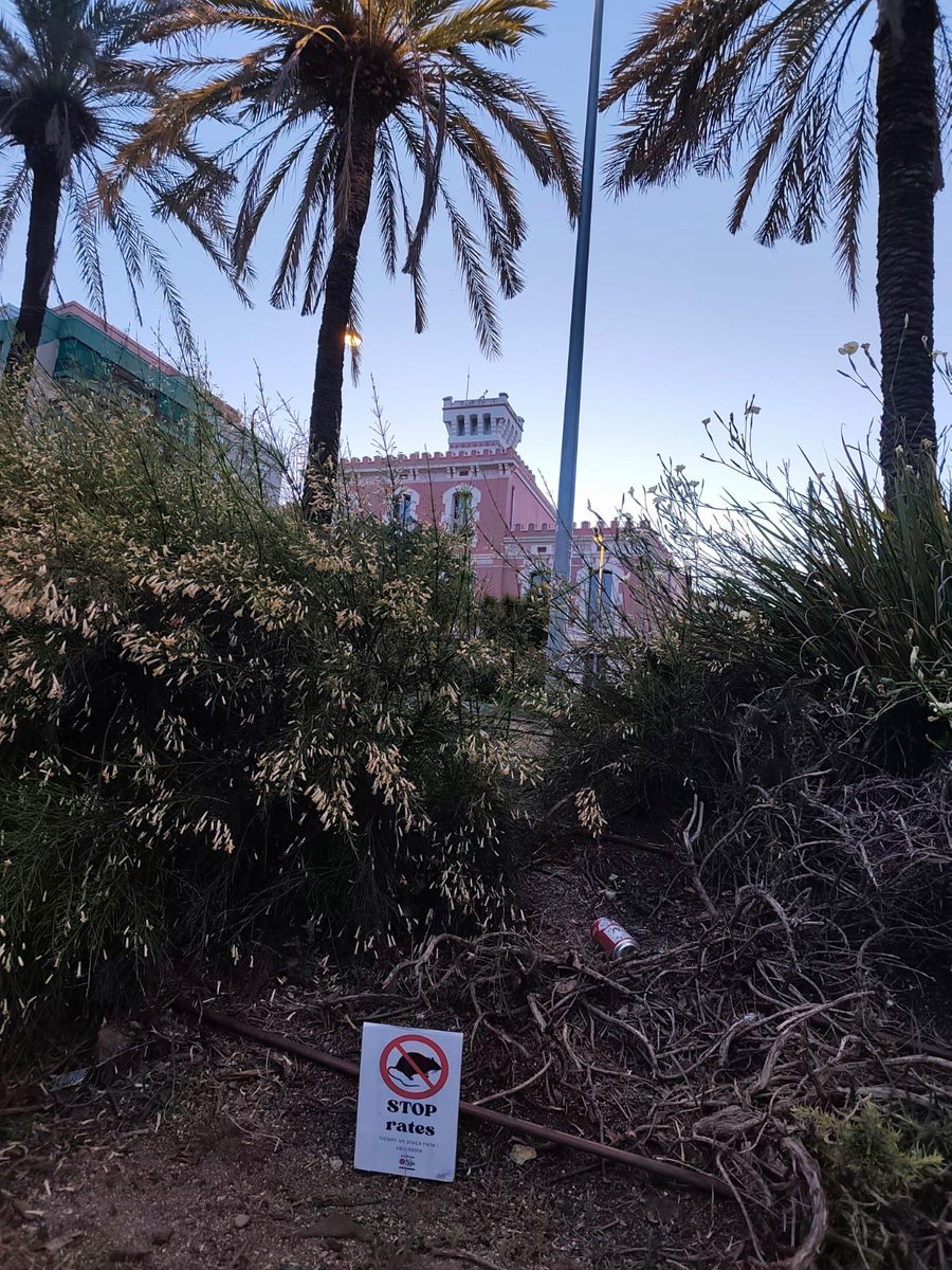 AV Sant Antoni Llefià tweet media