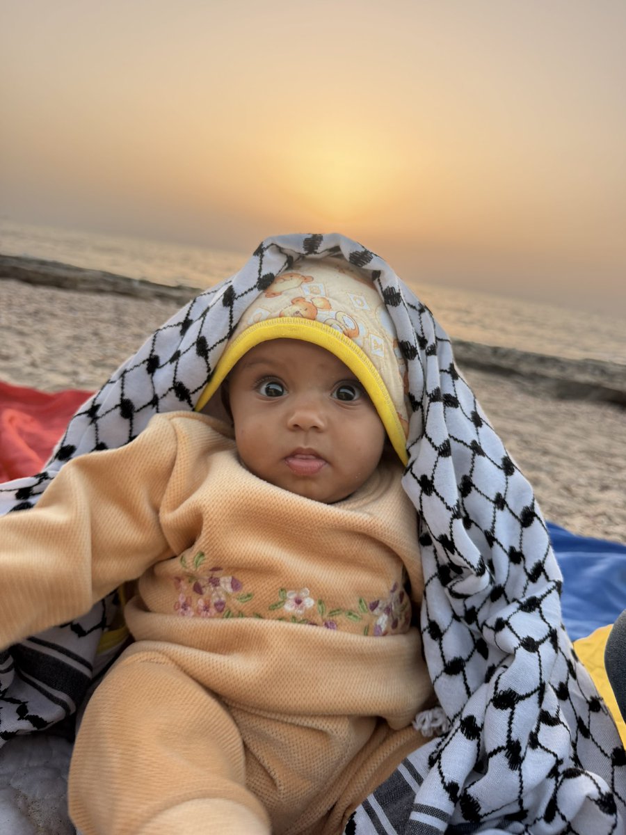Maysara Musleh in Gaza tweet media