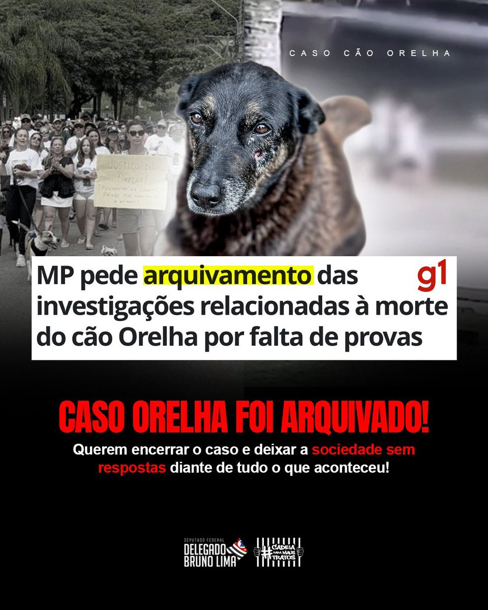 Delegado Bruno Lima tweet media