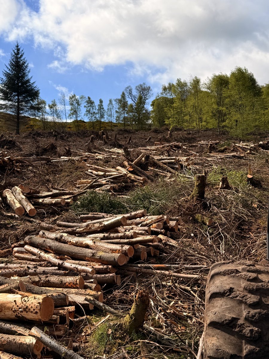 ForestryGms's tweet photo. Clearing up storm damage! 🌲🚜 https://t.co/pywa3syx06