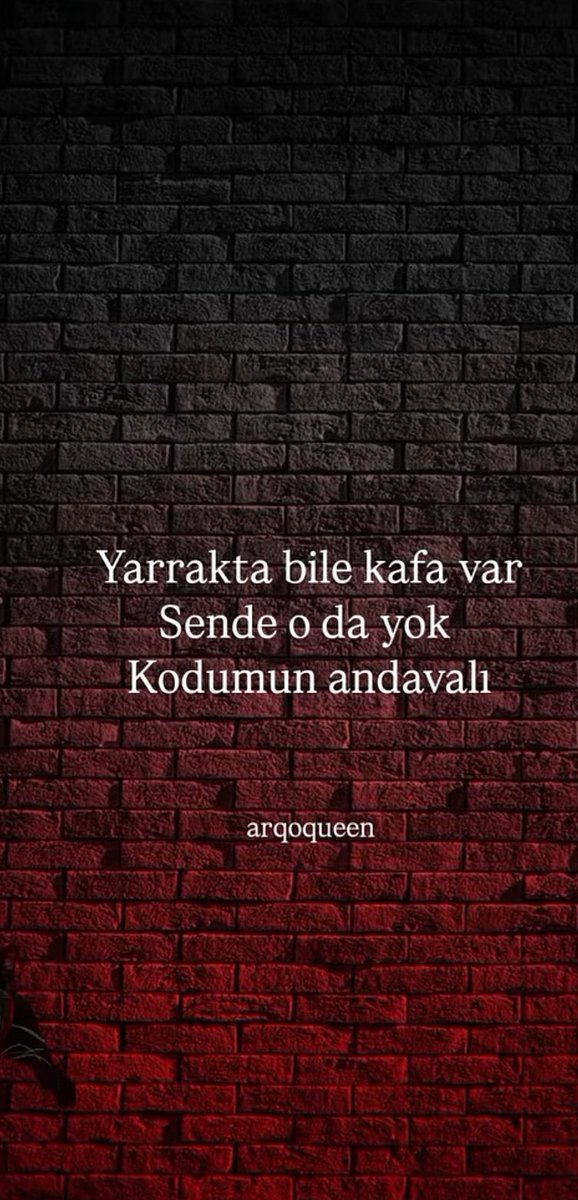 masum_🌵cactüs🌵 tweet media