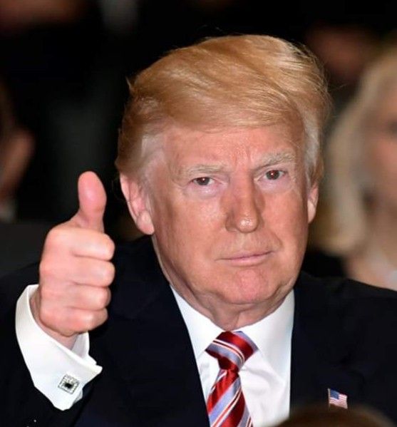 Perlina Trump tweet media