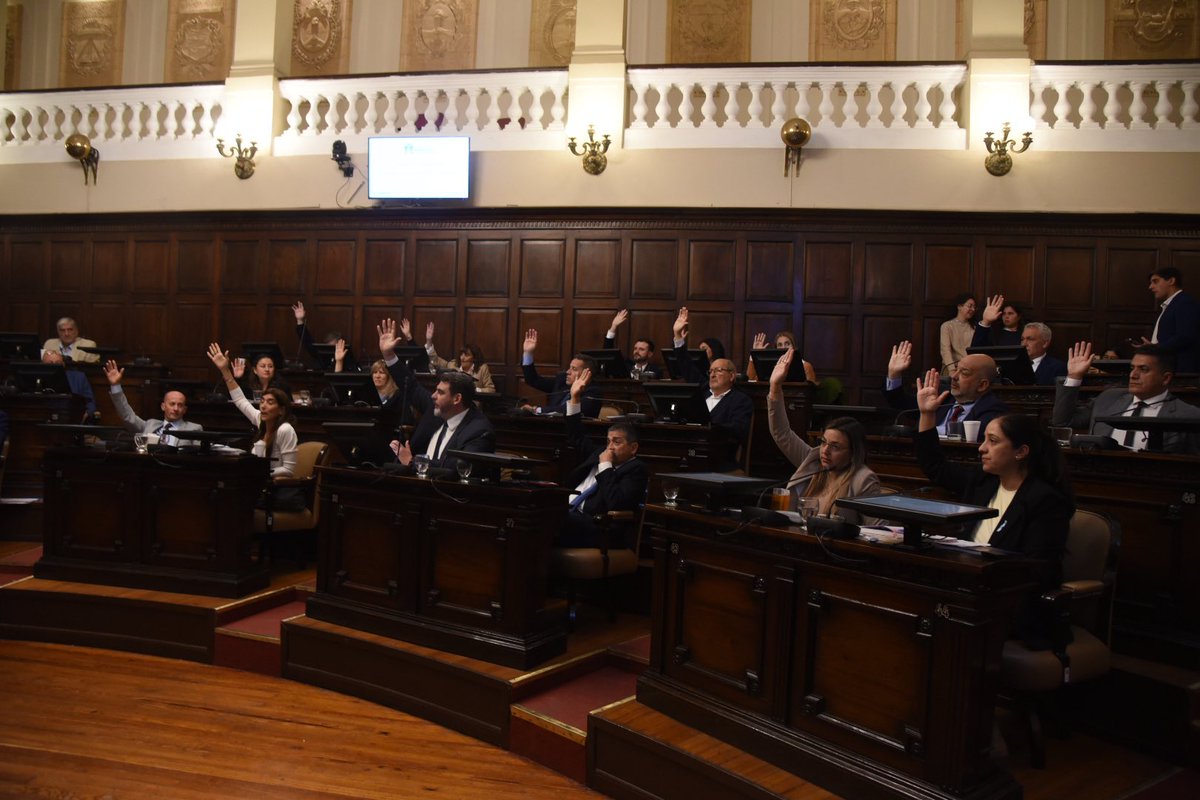 Senadores Cambia Mendoza tweet media