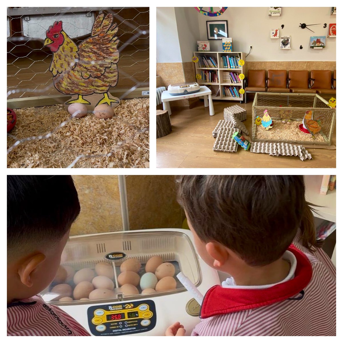 codemagijon's tweet photo. Esta tarde los peques del #Codema se han encontrado una gran sorpresa 😳 en la biblioteca. Un gallinero y huevos de Pita Pinta asturiana🐓con el que aprenderemos el proceso de incubación, para contribuir así a la conservación de esta especie autóctona ¡Iniciamos la aventura! https://t.co/wfT8XYbudd