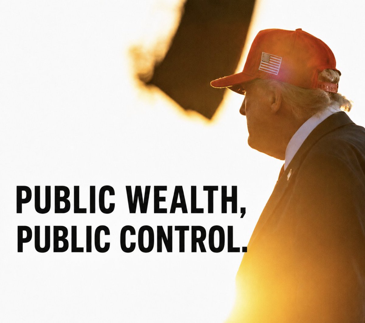 PublicAssetControl tweet media